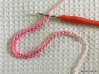 Flor brinco de princesa (1)