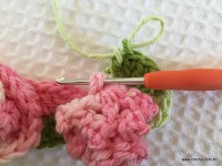 Flor brinco de princesa (10)