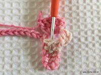 Flor brinco de princesa (11)