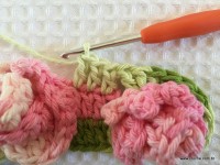 Flor brinco de princesa (13)