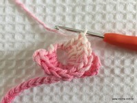 Flor brinco de princesa (14)