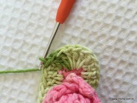 Flor brinco de princesa (16)