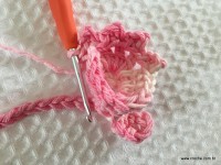 Flor brinco de princesa (17)