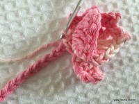 Flor brinco de princesa (18)