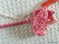 Flor brinco de princesa (19)