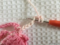 Flor brinco de princesa (21)