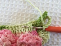 Flor brinco de princesa (22)