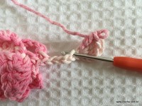 Flor brinco de princesa (23)