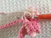 Flor brinco de princesa (25)