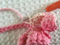 Flor brinco de princesa (26)