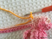 Flor brinco de princesa (28)