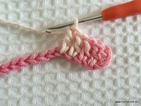 Flor brinco de princesa (4)