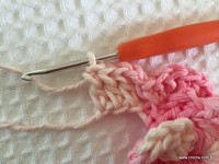 Flor brinco de princesa (48)