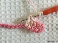 Flor brinco de princesa (6)