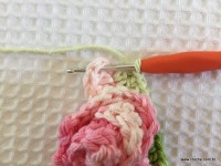 Flor brinco de princesa (7)