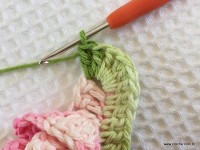 Flor brinco de princesa (8)