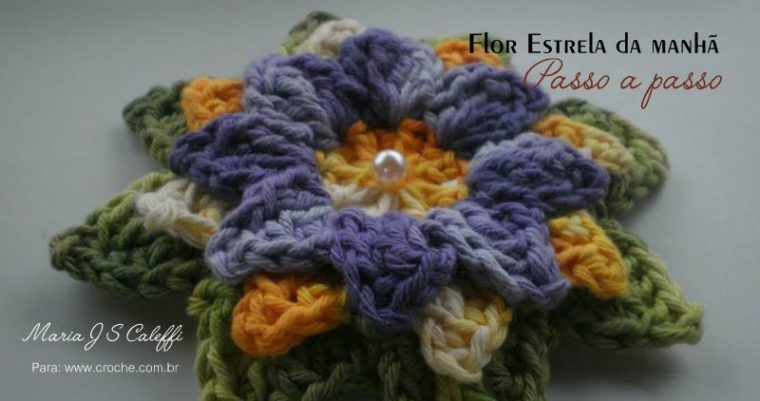 Flor Estrela da manhã passo a passo