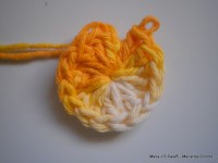 pap flor estrela da manh+ú 003