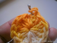 pap flor estrela da manh+ú 007