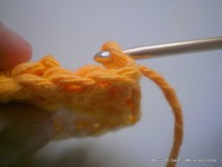 pap flor estrela da manh+ú 008