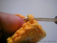 pap flor estrela da manh+ú 009