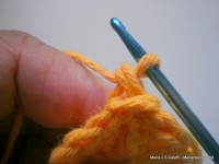 pap flor estrela da manh+ú 011