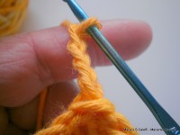 pap flor estrela da manh+ú 012