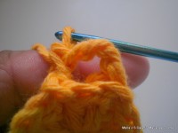 pap flor estrela da manh+ú 013