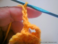 pap flor estrela da manh+ú 014