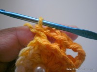 pap flor estrela da manh+ú 015