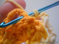 pap flor estrela da manh+ú 017