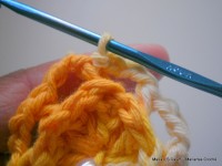 pap flor estrela da manh+ú 018