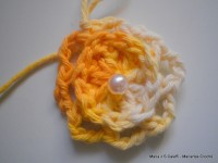 pap flor estrela da manh+ú 019