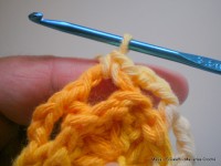 pap flor estrela da manh+ú 020