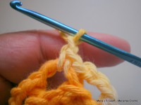 pap flor estrela da manh+ú 021