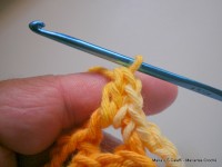 pap flor estrela da manh+ú 022