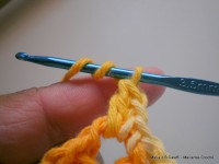 pap flor estrela da manh+ú 023