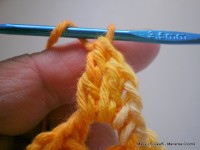 pap flor estrela da manh+ú 024