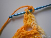 pap flor estrela da manh+ú 026