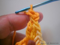 pap flor estrela da manh+ú 027