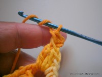 pap flor estrela da manh+ú 028