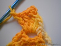 pap flor estrela da manh+ú 030