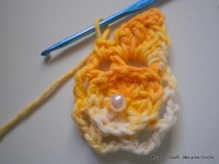 pap flor estrela da manh+ú 031