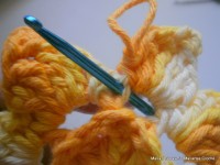 pap flor estrela da manh+ú 033