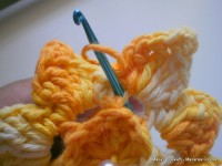 pap flor estrela da manh+ú 036