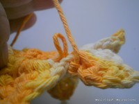 pap flor estrela da manh+ú 037