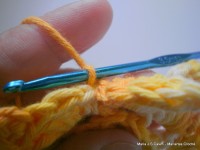 pap flor estrela da manh+ú 040