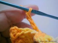 pap flor estrela da manh+ú 041