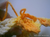 pap flor estrela da manh+ú 043