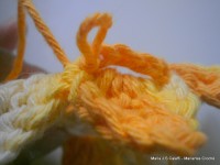 pap flor estrela da manh+ú 044